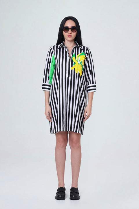 Zippy black and white striped cotton dress for women with rainbow zipper and yellow sequin flower, front view